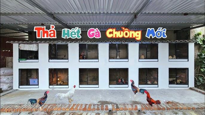Gà trống gáy bình minh