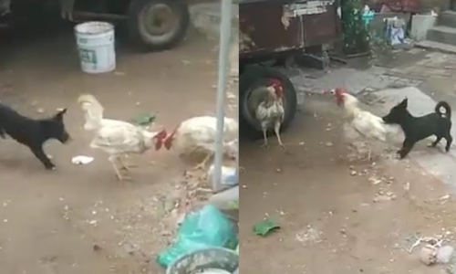 Giải Mã Giấc Mơ Thấy Số 64: Điềm Báo Gì Cho Bạn?