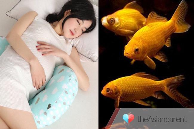 Giải Mã Giấc Mơ Thấy Cuốc Đất và Số Đề Liên Quan