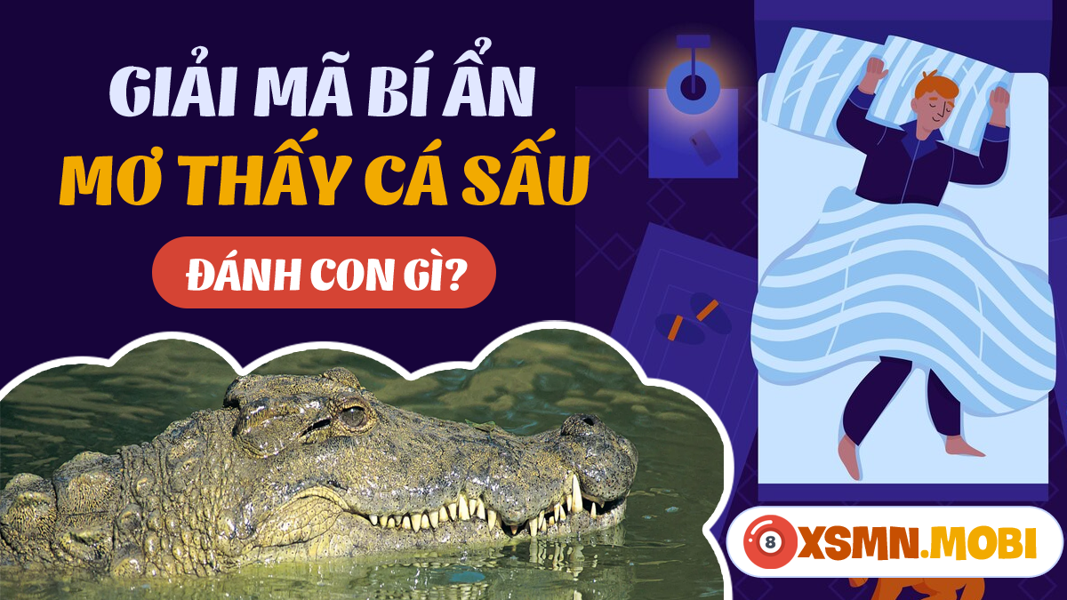 Giải Mã Giấc Mơ Thấy Hái Mận Đỏ và Số Đề Liên Quan