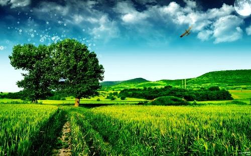 Giải Mã Giấc Mơ Thấy Ông Hoàng Bảy Và Con Số May Mắn