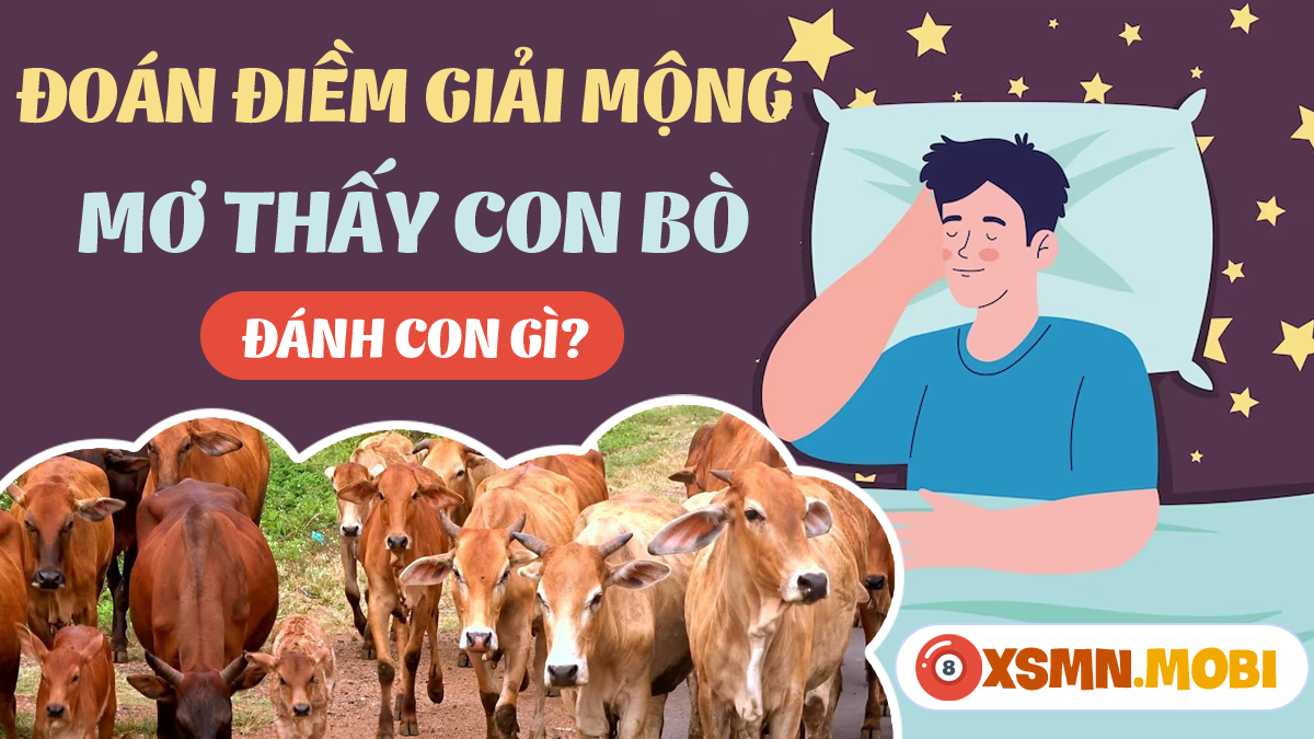 Giải Mã Giấc Mơ Liên Tục Nằm Mơ Thấy Rắn