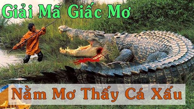 Giải Mã Giấc Mơ Thấy Có Người Kéo Chân Đánh Con Gì?