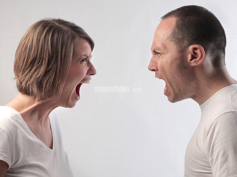 Giải Mã Giấc Mơ Thấy Chó Vàng Cắn