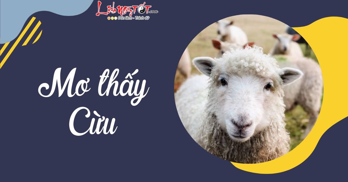 Giải Mã Giấc Mơ Thấy Điện Thoại Bị Vỡ Màn Hình Đánh Con Gì?