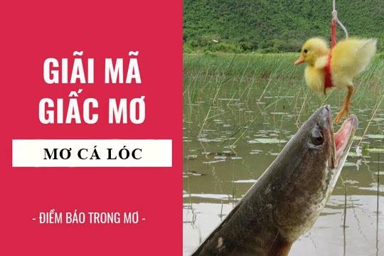Giải Mã Giấc Mơ Thấy Bà Già Chết Và Con Số Liên Quan