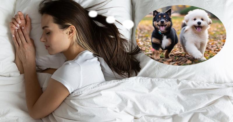 Nằm Mơ Nhặt Được Tiền Đánh Đề Con Gì?