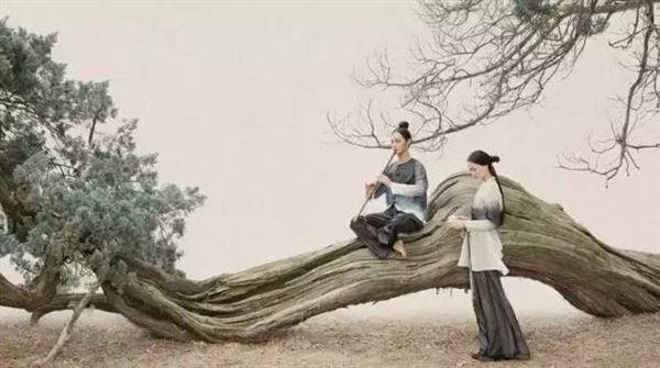 Giải Mã Giấc Mơ Thấy Đàn Chó Trắng và Số Đề Liên Quan