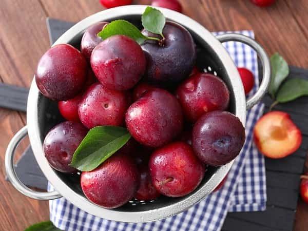 Giải Mã Giấc Mơ Thấy Cuốc Đất và Số Đề Liên Quan
