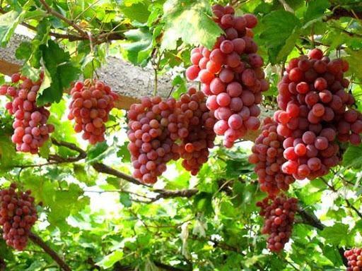 Giải Mã Giấc Mơ Thấy Ma Quỷ Đánh Con Gì?