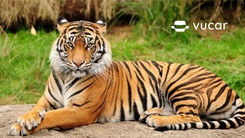 Giải Mã Giấc Mơ Thấy Chuyển Trường Và Số Đề Liên Quan
