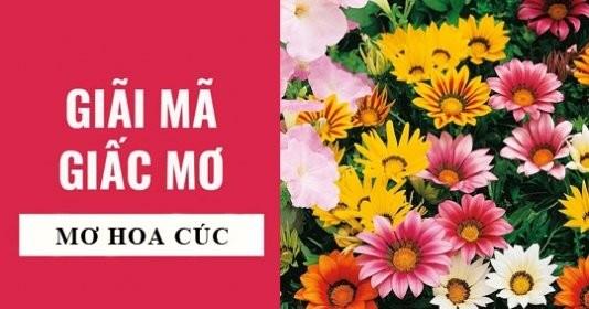 Giải Mã Giấc Mơ Thấy Cây Dừa Và Những Con Số Liên Quan