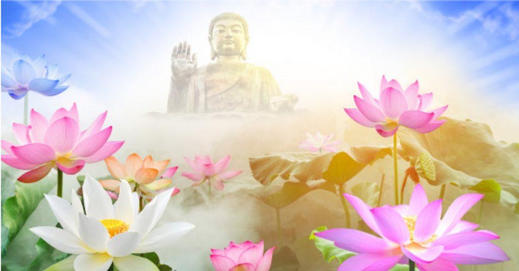 Giải Mã Giấc Mơ Thấy Bà Già Chết Và Con Số Liên Quan