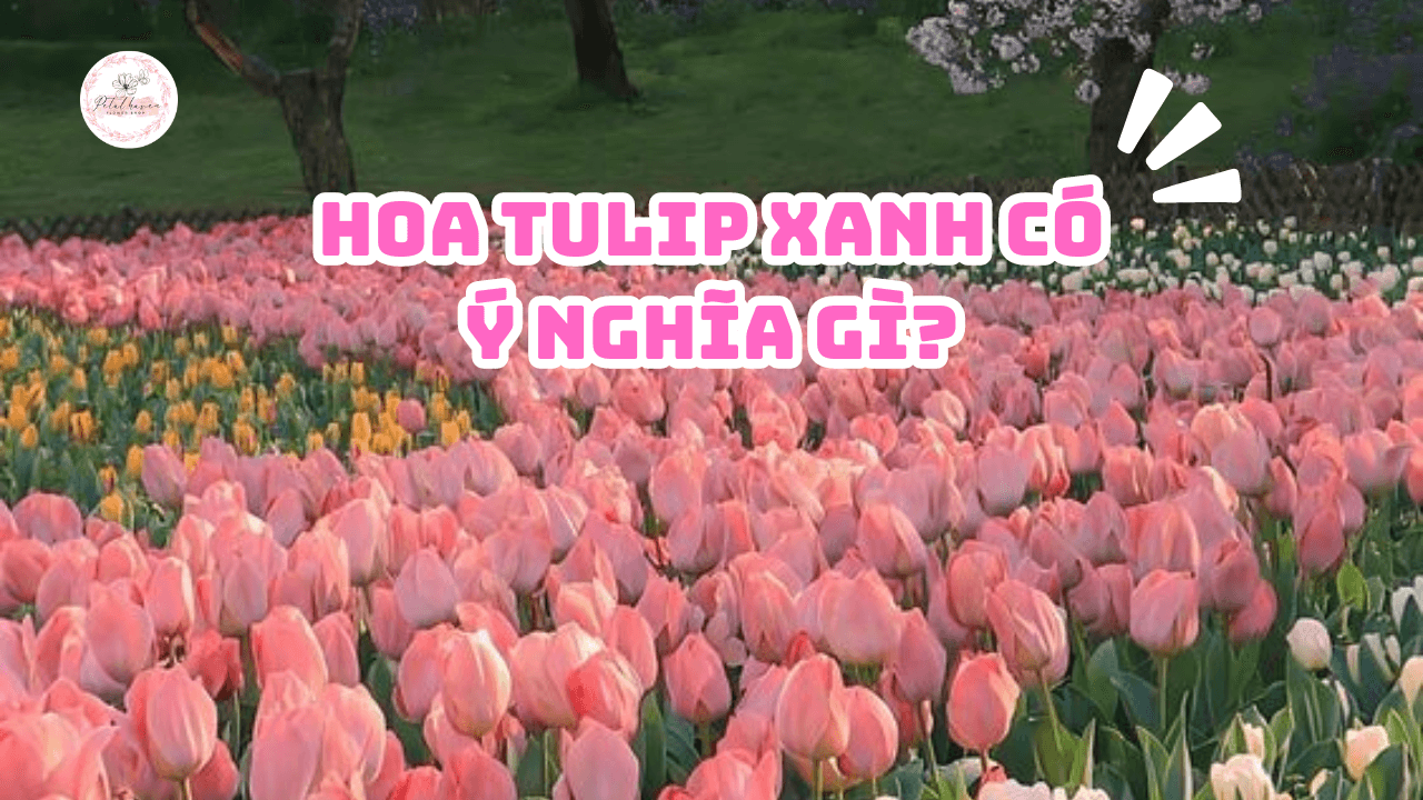 Bà Bầu Nằm Mơ Thấy Tôm: Giải Mã Số Đề Chính Xác