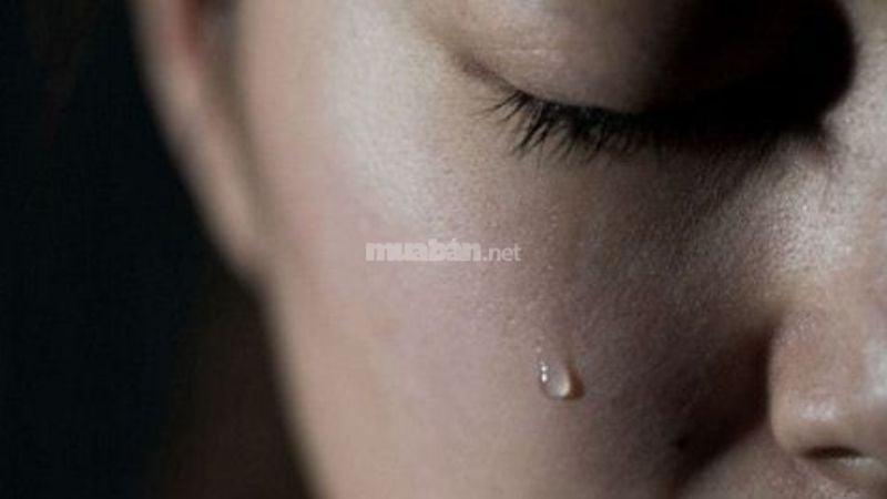 Giải Mã Giấc Mơ Thấy Cây Bồ Đề và Số Đề Liên Quan