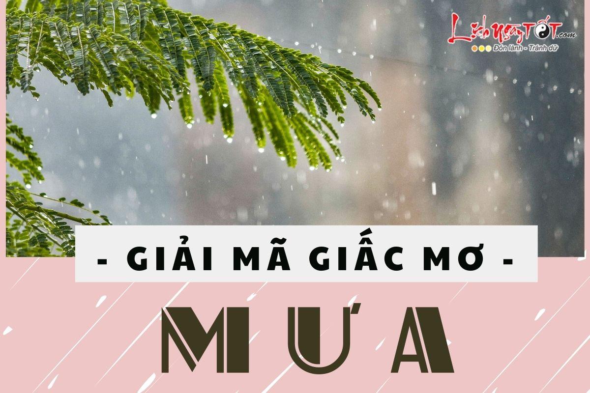 Giải Mã Giấc Mơ Thấy Chơi Lô Tô