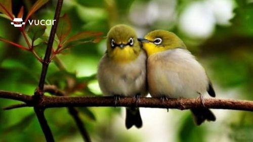 Giải Mã Giấc Mơ Thấy Mình Gầy Đi và Số Đề Liên Quan
