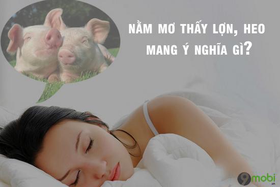 Giải mã giấc mơ nằm mơ thấy heo đẻ