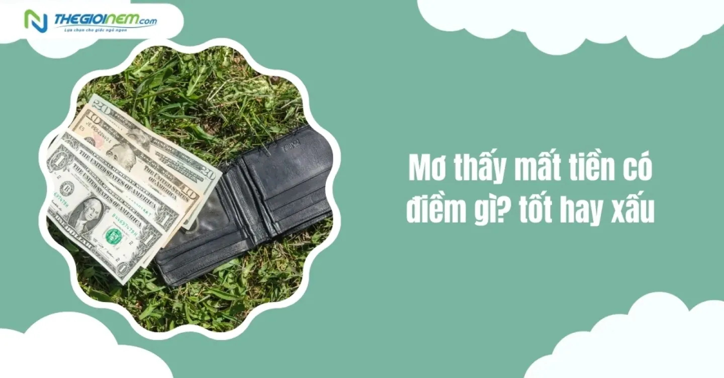 Giải mã giấc mơ thấy người ta mất tiền