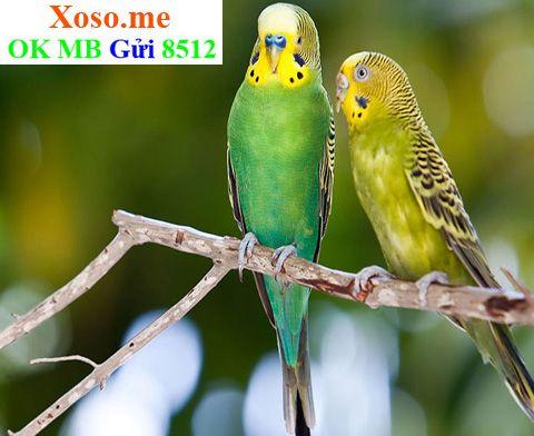 Giải Mã Giấc Mơ Thấy Bàn Thờ Bát Hương Đánh Con Gì?