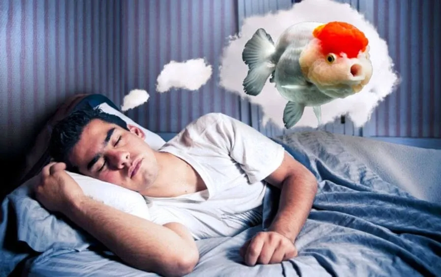 Giải Mã Giấc Mơ Thấy Mình Đi Tu &amp; Số Đề Liên Quan