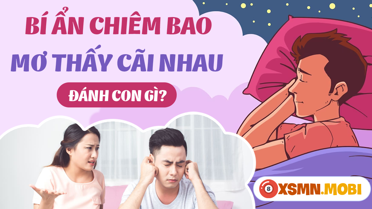 Giải mã giấc mơ thấy chửi lộn đánh lộn theo quan niệm dân gian
