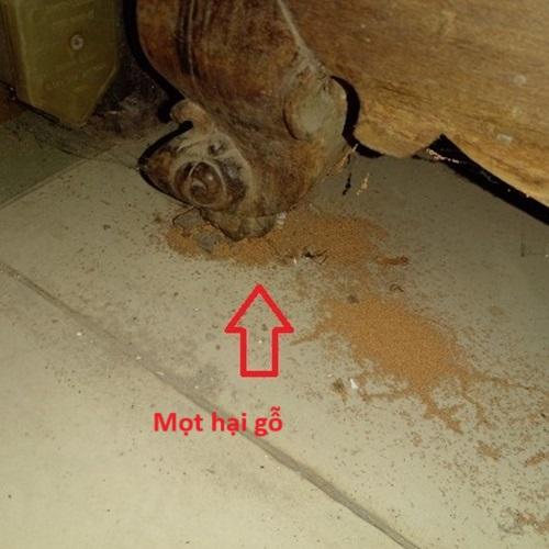 Giải Mã Giấc Mơ Thấy Cá Chép Hóa Rồng Đánh Con Gì?