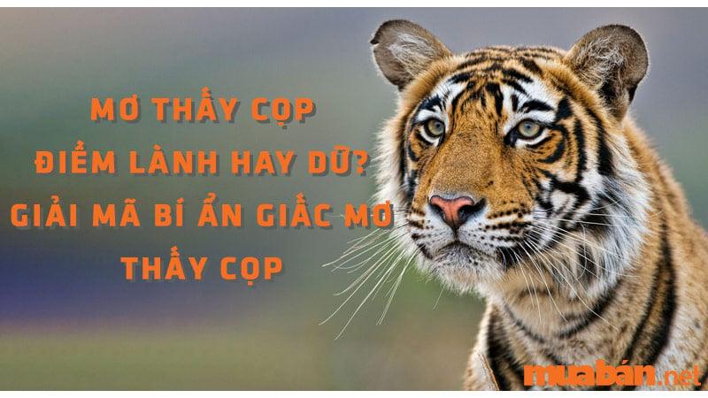 Giải mã giấc mơ thấy cọp đuổi