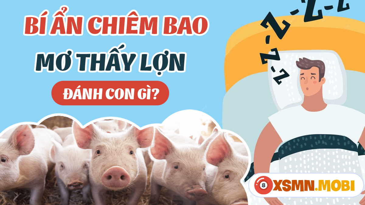 Giải mã giấc mơ thấy nhiều lòng lợn