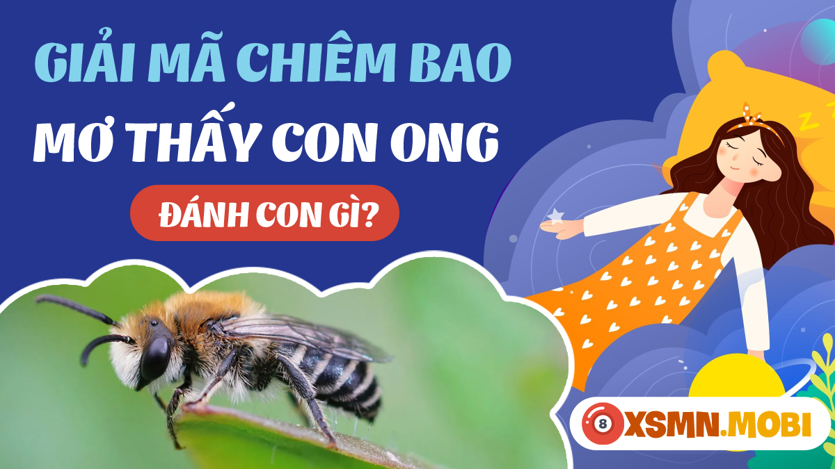 Nằm Mơ Máy Xúc Đánh Con Gì? Giải Mã Và Soi Cầu
