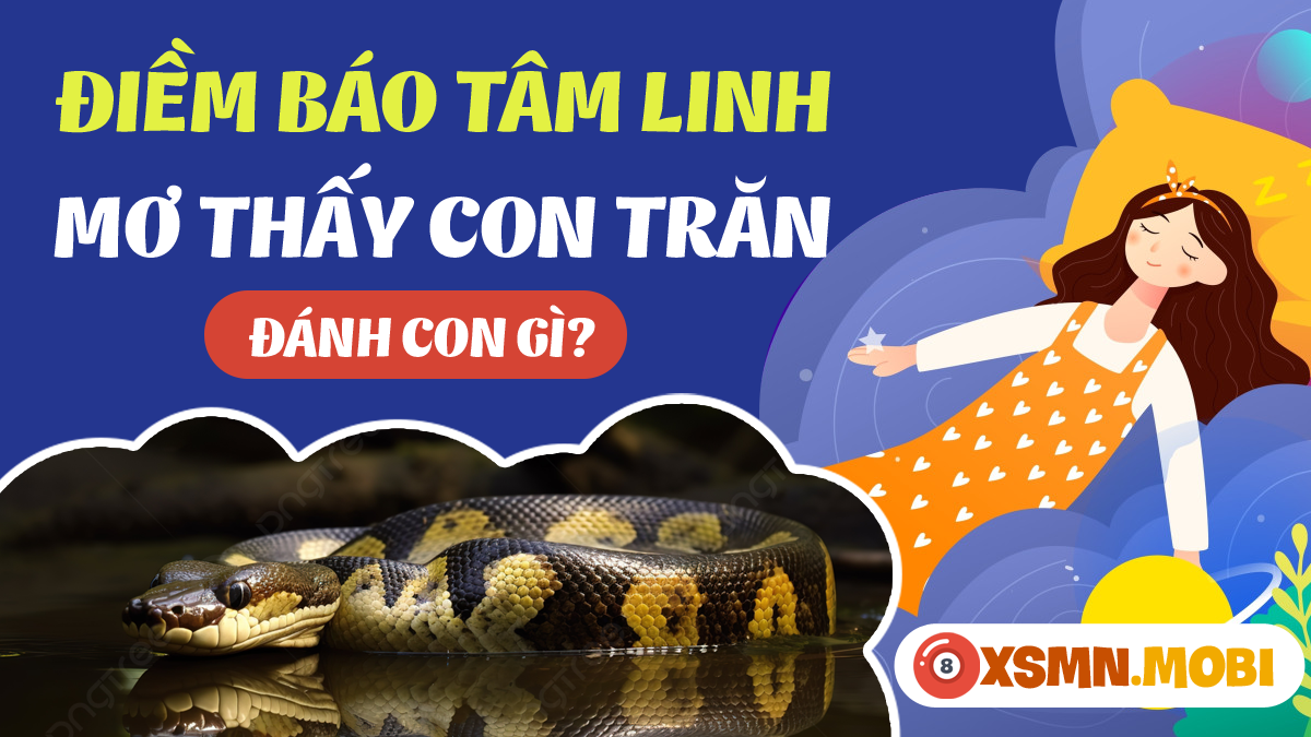 Giải Mã Giấc Mơ Bị Mất Hết Tiền Đánh Con Gì?