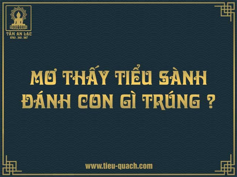 Giải mã giấc mơ thấy tiểu quách