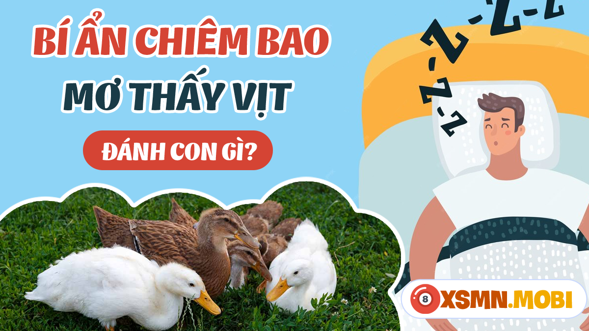 Nằm mơ thấy mình bay đánh con gì? Giải mã giấc mơ bay và số đề