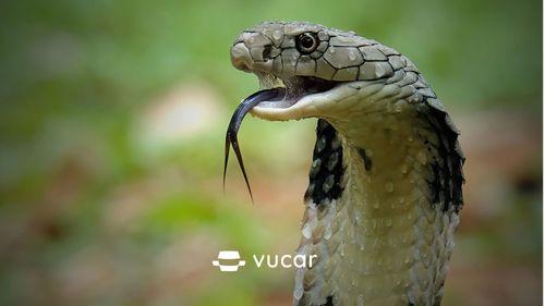 Giải Mã Giấc Mơ Bắt Được Con Chai Đánh Đề