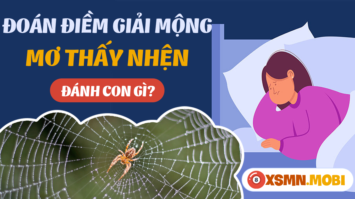 Nằm mơ thấy khỉ đánh số mấy? Giải mã giấc mơ và con số may mắn