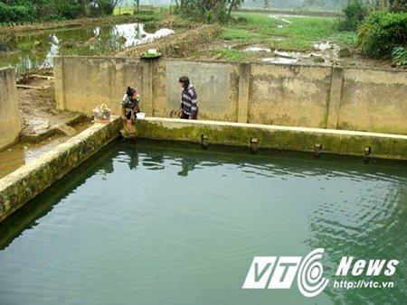 Giải Mã Giấc Mơ Thấy Cha Bị Chém và Số Đề Liên Quan