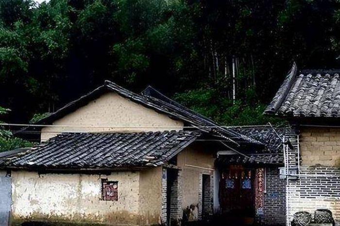 Giải Mã Giấc Mơ Thấy 3 Con Chó Đuổi Cắn