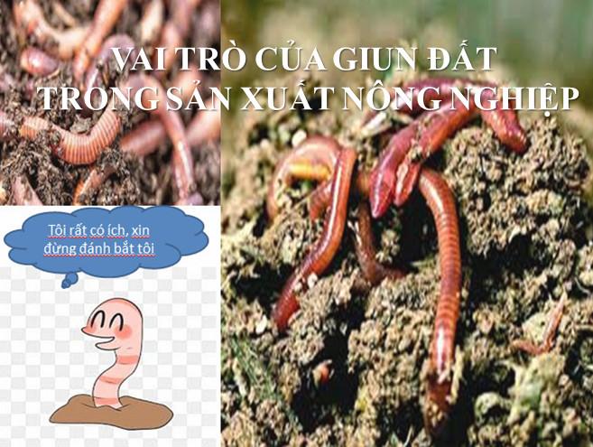 Nằm Mơ Thấy Bố Mẹ Chồng La Điềm Gì? Giải Mã & Số Đề