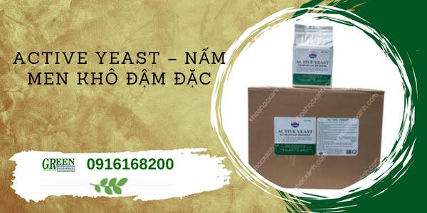 Giải Mã Giấc Mơ Bắt Được Cá Trôi Đánh Con Gì?