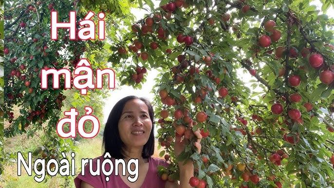 Giải Mã Giấc Mơ Thấy Thi Rớt: Điềm Báo Số Đề?