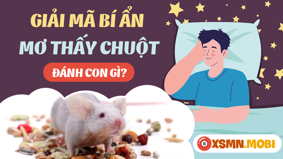 Chuột Hamster Vàng Trong Giấc Mơ