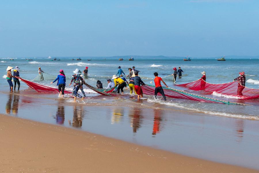 Kéo lưới đầy cá trong giấc mơ