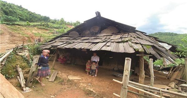 Xây dựng nhà gỗ kiến cố trong mơ
