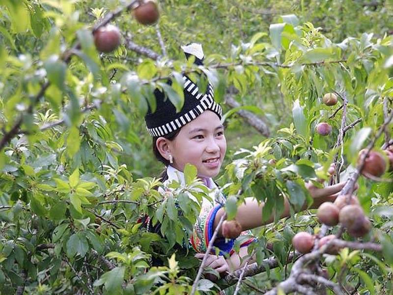 Giải Mã Giấc Mơ Thấy Đi Vệ Sinh và Số Đề Liên Quan