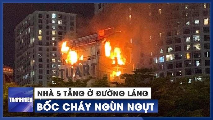 Nằm mơ thấy cá voi đánh con gì? Giải mã giấc mơ lô đề