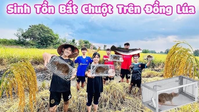 Nằm Mơ Thấy Mẹ Của Bạn Chết: Giải Mã Số Đề
