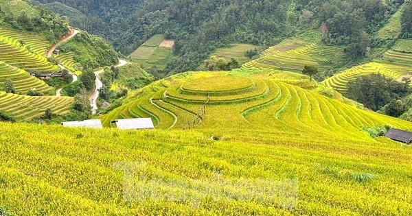 Giải Mã Giấc Mơ Thấy Mình Mang Thai và Số Đề Liên Quan