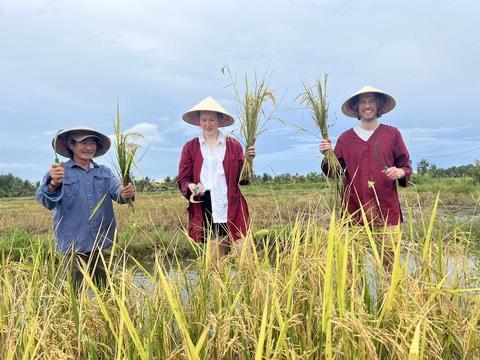 Nằm Mơ Thấy Mẹ Của Bạn Chết: Giải Mã Số Đề