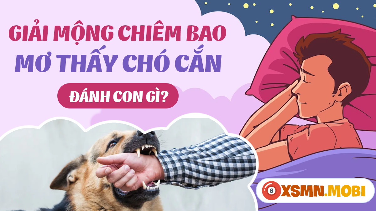 Nằm Mơ Bị Rắn Hổ Mang Cắn Tay: Giải Mã Số Đề