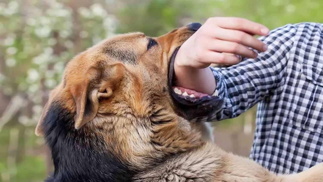 Giải Mã Giấc Mơ Thấy Mình Bị Táo Bón và Số Đề Liên Quan